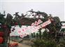 青州农业生态园区建设|一流的农业生态园区规划推荐