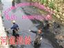 武汉河道清淤每方多少钱怎么算