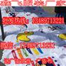 2017地摊纯棉文化衫亲子装情侣装厂家直销批发展销会热卖