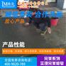 桥梁伸缩缝破损—桥梁修补料
