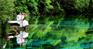 九寨沟婚纱照可信赖：四川专业的1599九寨沟写真套系