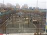 宁夏博源盛兴环保建材提供的空心楼盖轻质芯模怎么样，白银空心楼