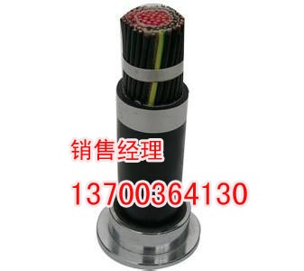 辽源销售生产阻燃通信电源电缆，辽源ZA-RVV22电缆  辽源阻燃通信电源电缆