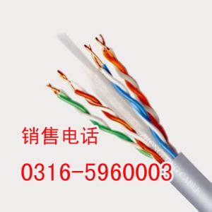 舒兰对绞信号电缆DJYVP，舒兰绞对信号电缆生产