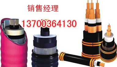 辽源铜带屏蔽电力电缆VVP销售，辽源金属屏蔽电缆供应