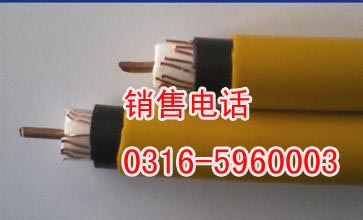 辽源智能泄露电缆，辽源高性能铁路轨道信号电缆