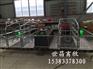 河北球磨铸铁双体母猪产床养猪设备单体产床热镀锌管分娩产床