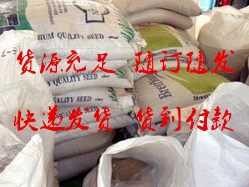 涞水县养羊牧草种子批发价&nbsp;&nbsp;牧草种子品种&nbsp;&nbsp;紫花苜蓿种子&nbsp;&nbsp;菊苣牧草种子