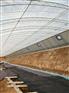#杠杠的#塑料薄膜温室大棚建设【生态温室餐厅设计施工】花卉温