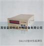 水位监测仪SWJ-1远传水位监测装置