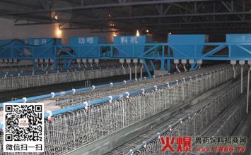 全自动养鸡生设备进口报关要办理哪些手续
