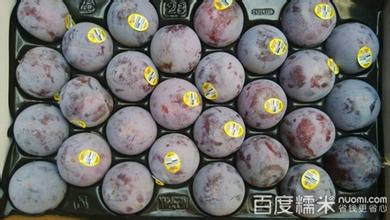 义乌进口水果报关公司