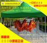 玉溪帐篷印字 昆明玉溪帐篷厂家
