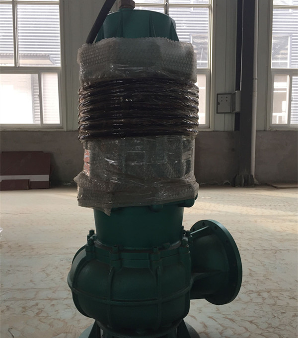 大铰刀切割型潜水排污泵真棒&nbsp;&nbsp;污水泵&nbsp;&nbsp;排涝