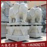 白麻大象 仿古青石大象 汉白玉石雕大象