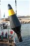 浮标、碧海天成浮标、高雄港浮标