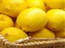 柠檬代理|优惠的柠檬【供销】