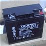 广东志成冠军蓄电池NP9-12