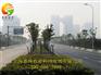上海一流的市政绿化工程_市政绿化工程招商