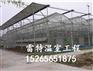 温室大棚设计建造 首选雷特温室工程 量身制作欢迎咨询