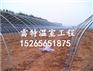 蔬菜温室大棚建造哪家好 质量好价格低