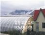 雷特温室工程专业承建日光温室建设 量身制造 质量保证