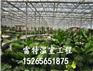 专业生产智能花卉大棚 首选雷特温室工程