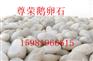 中卫鹅卵石滤料经销商