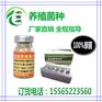 养猪用的em菌种厂家价格是多少