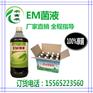 我想知道鸽子啦绿色的大便吃em益生菌好使么