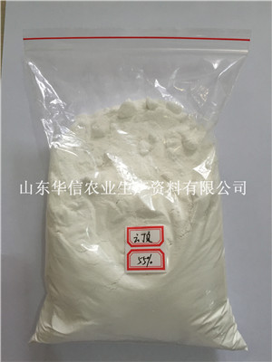 【度娘告訴我：云頂批發(fā)價格】【山東云頂批發(fā)，認準華信農(nóng)業(yè)】