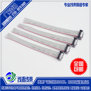 IDC1.0端子线|1.0间距端子连接线|东莞端子线加工厂