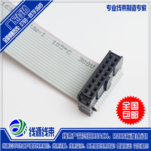 IDC1.0端子线|1.0间距端子连接线|东莞端子线加工厂