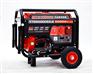 户外施工用汽油发电机YT6500DCE3-2