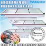 广东中山 冷柜 冰柜 超市冷冻柜 质量杠