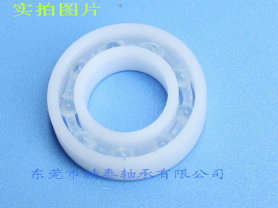 东莞厂家供应耐酸碱塑料轴承6000  陶瓷轴承  非标轴承