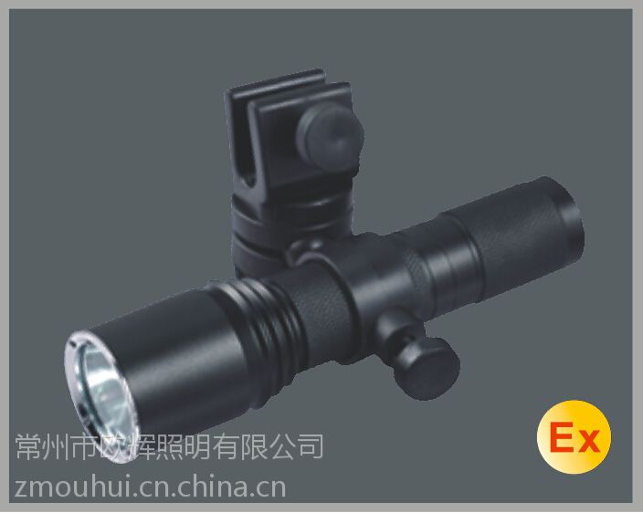 BAD202C 微型防爆手电筒，LED防水防爆手电筒