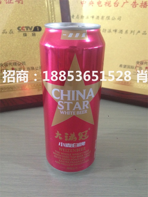啤酒代理500ml拉罐啤酒  啤酒招商