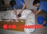 天平架附近家庭布艺沙发清洗除异味专业清洁公司