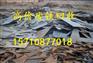 广州市番禺区新造废品回收公司地址