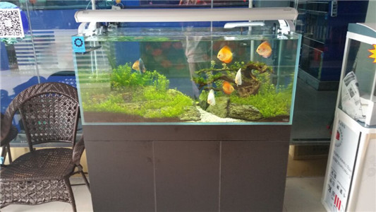 宿迁，泗阳，淮安水族箱潜水泵