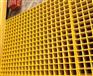 【黑龙江   淄博   吉林   临沂】