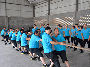 弘力水泥实惠的云南水泥【供应】 水泥批发  石林水泥  宜良水泥采购