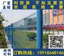 中山小区桃型柱围栏网 增城绿化带护栏网