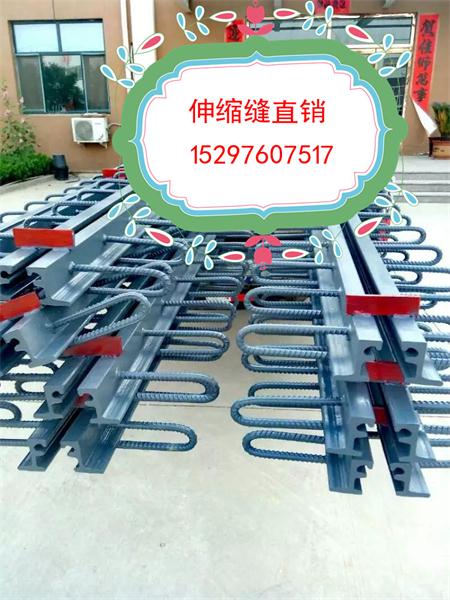 直销贵州铜仁模数式D80型伸缩缝-