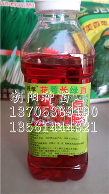 【番茄保果灵】山东番茄保果灵//番茄保果 番茄保果灵价格