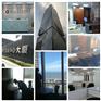 福建高效的除甲醛[推荐]，厦门除甲醛