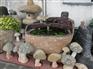花钵定制_价格公道的自然水景组火热供应中