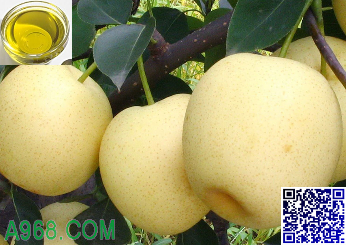 广州供应雪梨香精 雪梨香精批发价格  优质水果香精