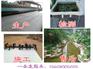 新余聚酯长丝土工布集团,有限公司,欢迎您！